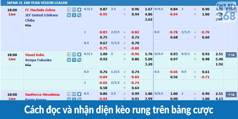 Cách đọc và nhận diện kèo rung trên bảng cược